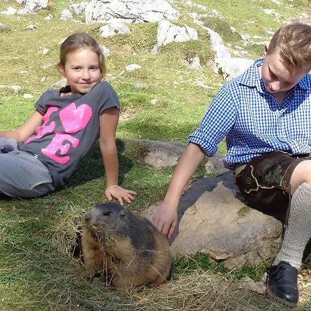 Apartment Schörghofer